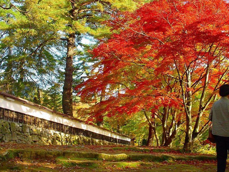 Tabist Hana Hotel Takinoya Aizu-Janaizu Kültér fotó